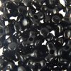 Black - Tri Beads Opaque Colors (600 Pieces) 