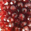 Tr. Tortoise - Faceted Transparent Plastic Beads (Choose Size) (Pack) 