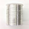 BULK, 24 Gauge, Non Tarnish Silver, Colored Copper Craft Wire, 1 LB (800 Feet) 