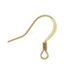 Flat Fish Hook Earwire w/ Spring, Gold-Plated (144 Pieces) 