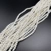 4mm Shell Pearls (White) (16