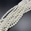 8mm Shell Pearls (White) (16