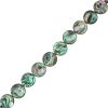 Abalone Beads, 16mm, Coin (16