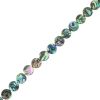 Abalone Beads, 12mm, Coin (16