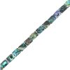 Abalone Beads, 14x10mm, Rectangle (16