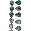 Abalone Beads, 18x13mm Teardrop with Horizontal Hole (16